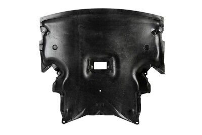 W209 მატორის ზაშიტნიკი