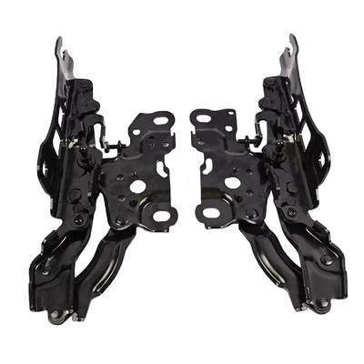 G20   კაპოტის პეტლი